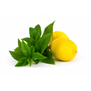 Esencia Nebulizador Limón Verbena SmellBlock