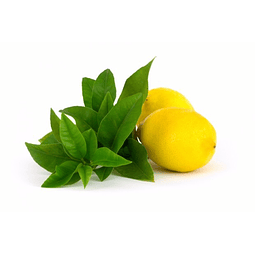 Esencia Nebulizador Limón Verbena SmellBlock