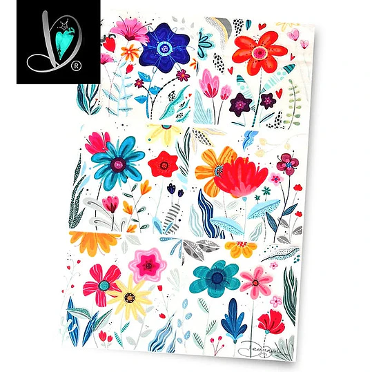 DD Transfer Posavasos 1