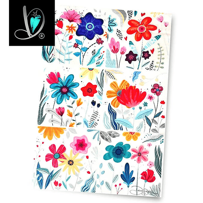 DD Transfer Posavasos 1