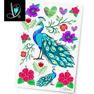 DD Transfer Pavo Real