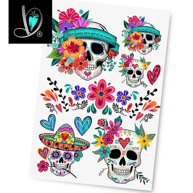 DD Transfer Calacas 1