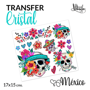 DD Transfer UV Calacas