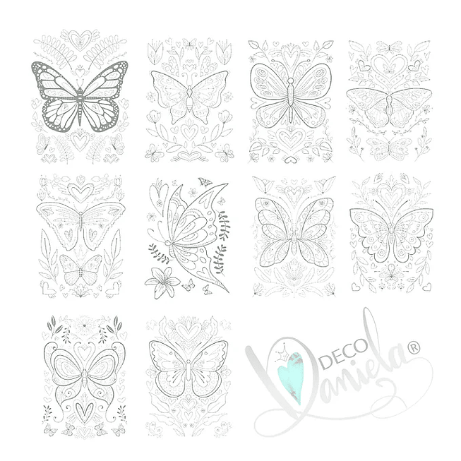 Mariposas XL DD 2