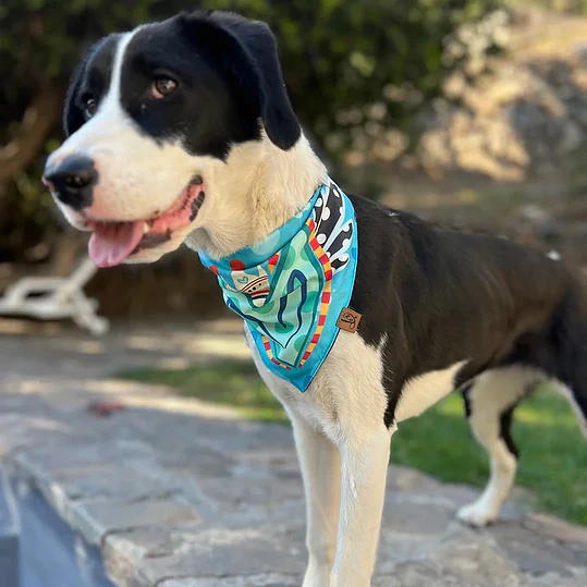 Bandana Acua 6