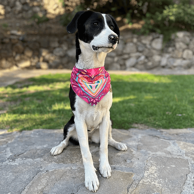 Bandana Pink 5