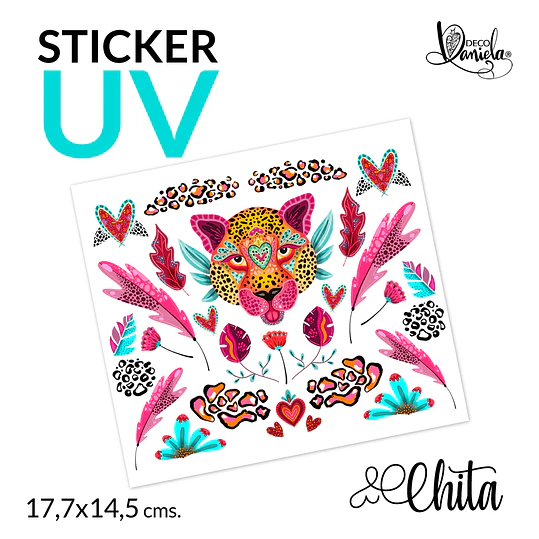 DD Transfer UV Chita 1