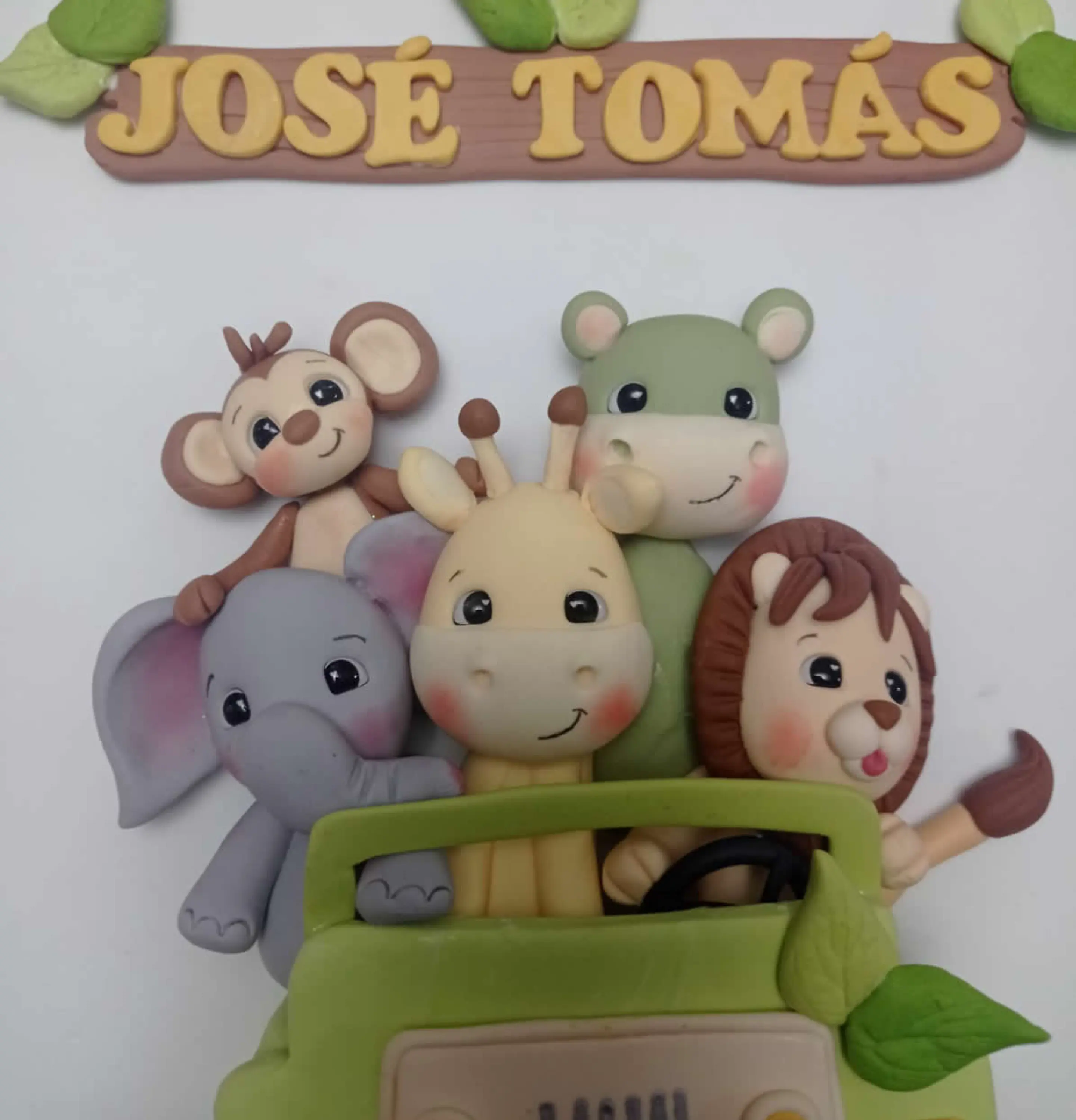 Cuadro Personalizado Modelo Safari 4