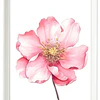 Set  Hada de las flores