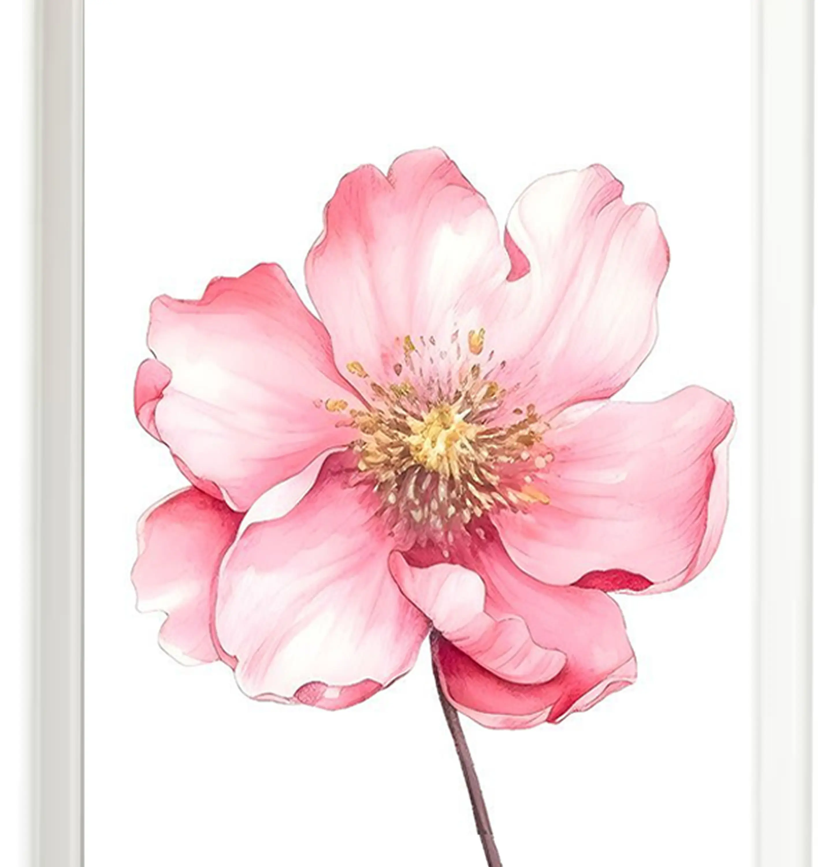 Set  Hada de las flores 4