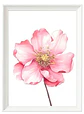 Set  Hada de las flores - Miniatura 4