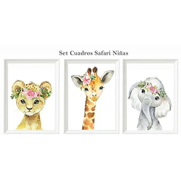 Set Safari