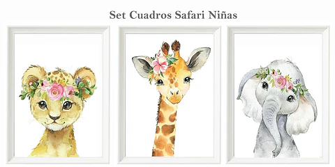 Set Safari