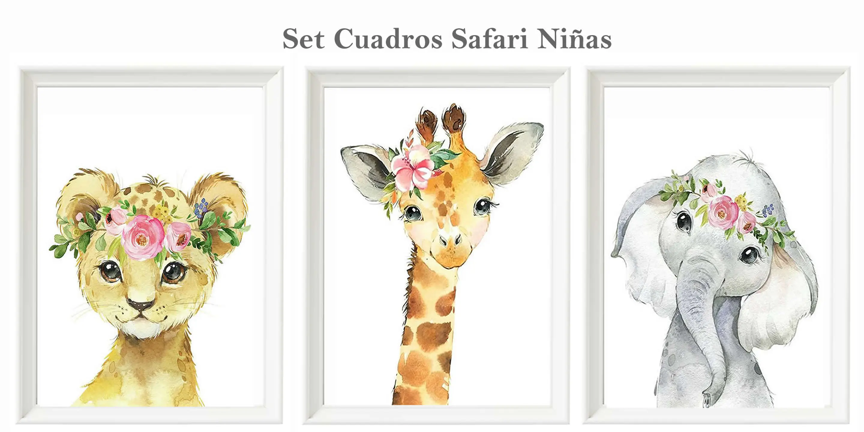 Set Safari 1