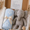 Box 3  - Manta Celeste y Elefante de Apego