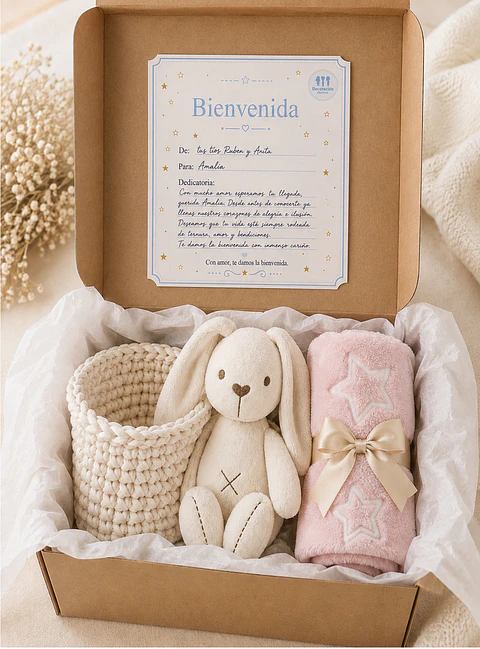 Box 3  - Canasto para cuna - Manta Rosada Estrellas y Conejito de Apego