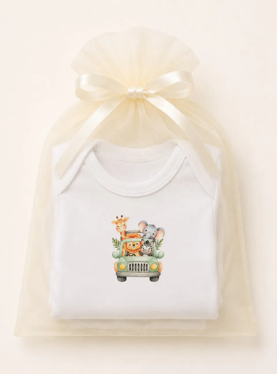 Box 1- Ajuar Safari  5