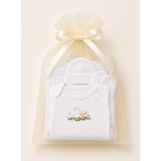 Box 1- Ajuar Gansita