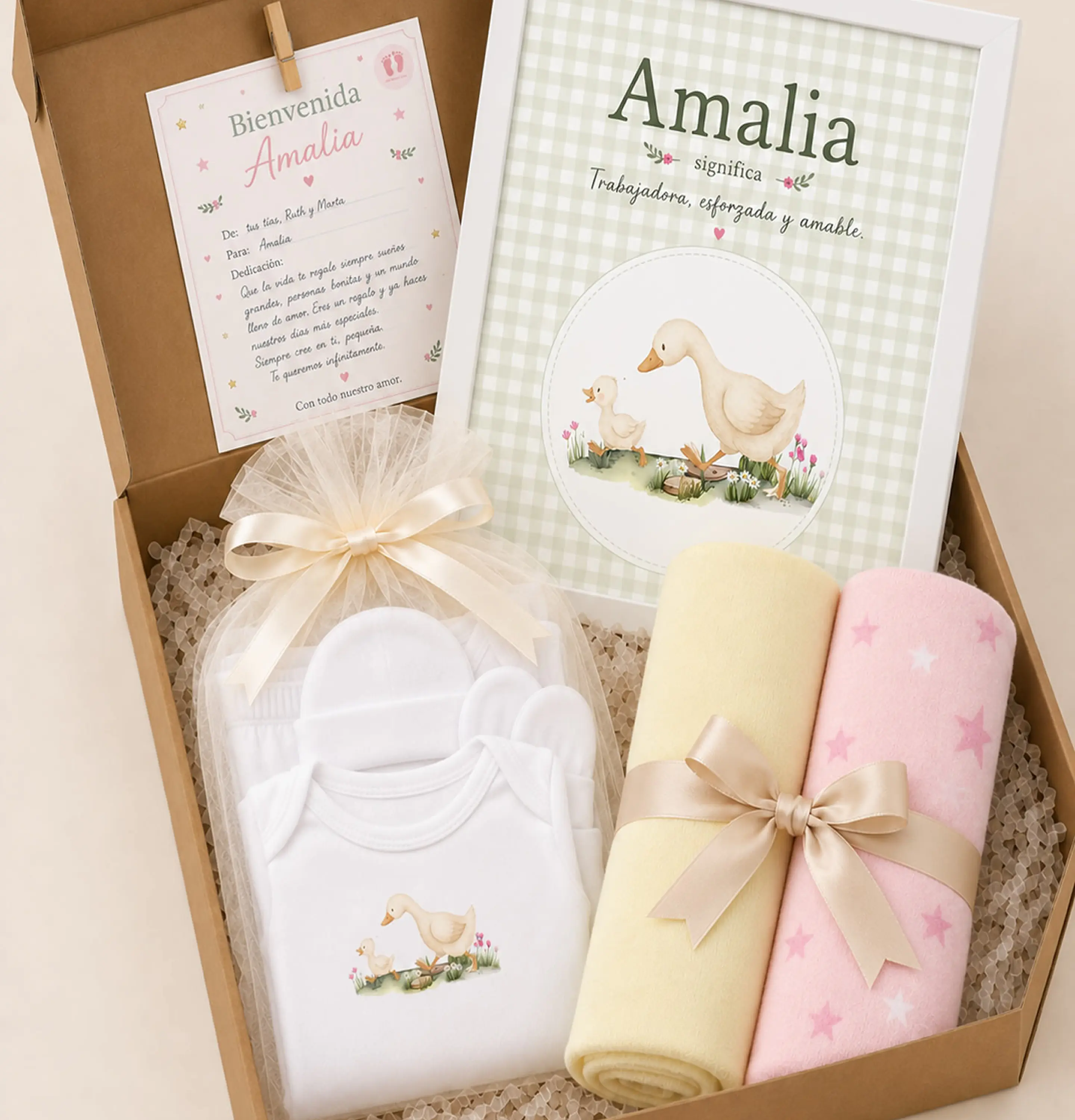 Box 1- Ajuar Gansita 1