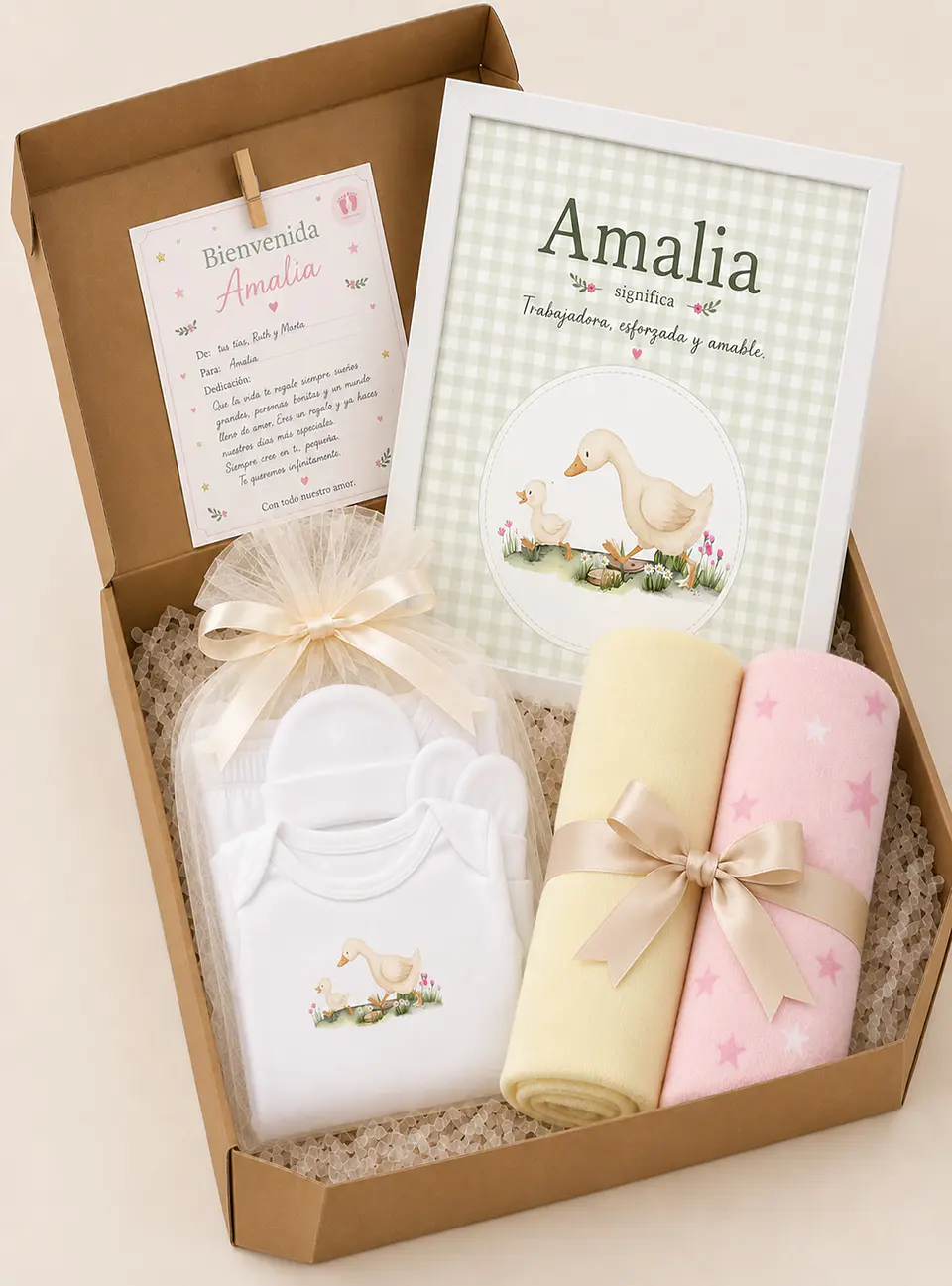 Box 1- Ajuar Gansita 1