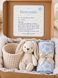 Box 3  - Canasto para cuna - Manta Celeste Estrellas y Conejito de Apego - Miniatura 1