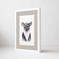 Cuadro Cabeza Koala - Miniatura 3