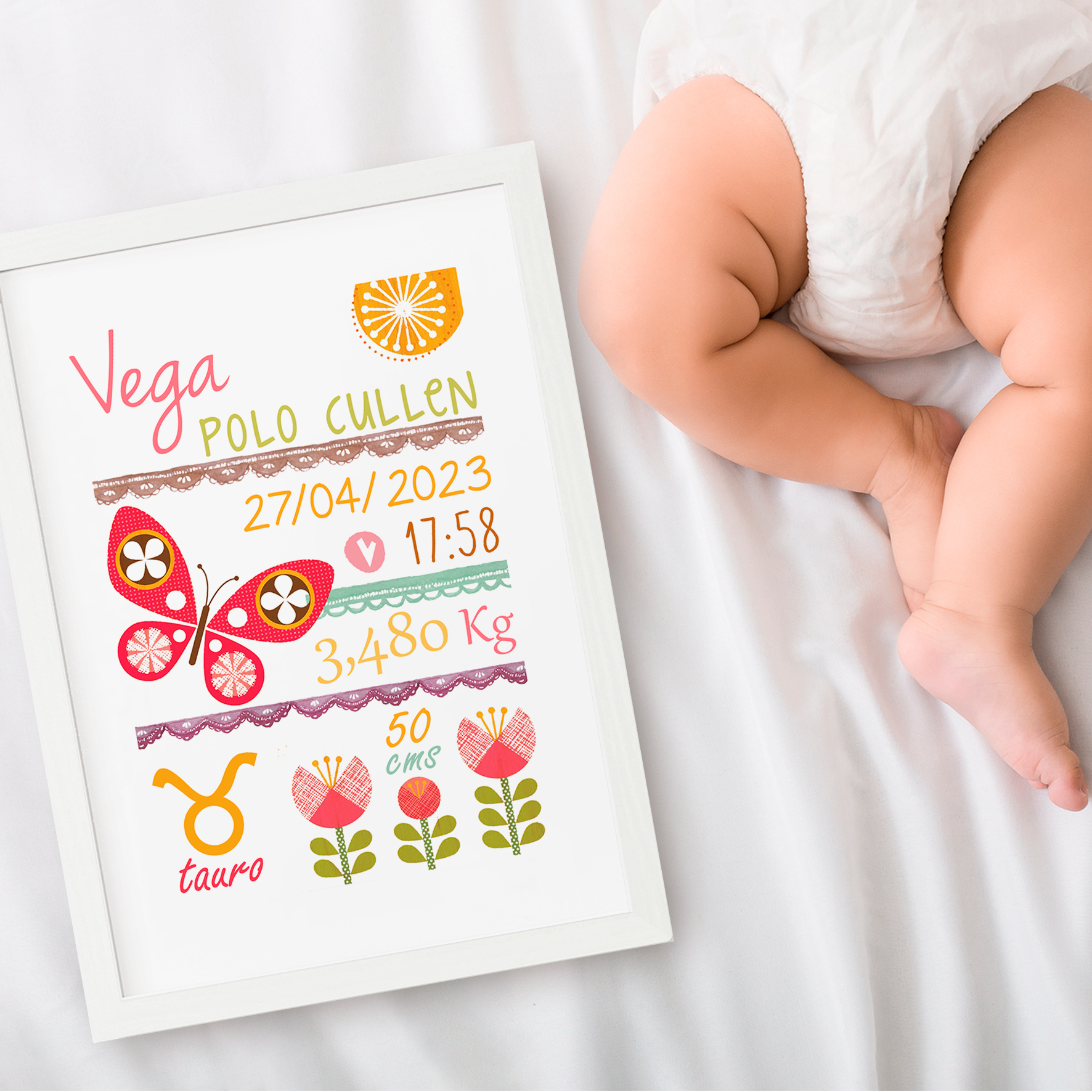 Cuadro Nacimiento Mariposa 2