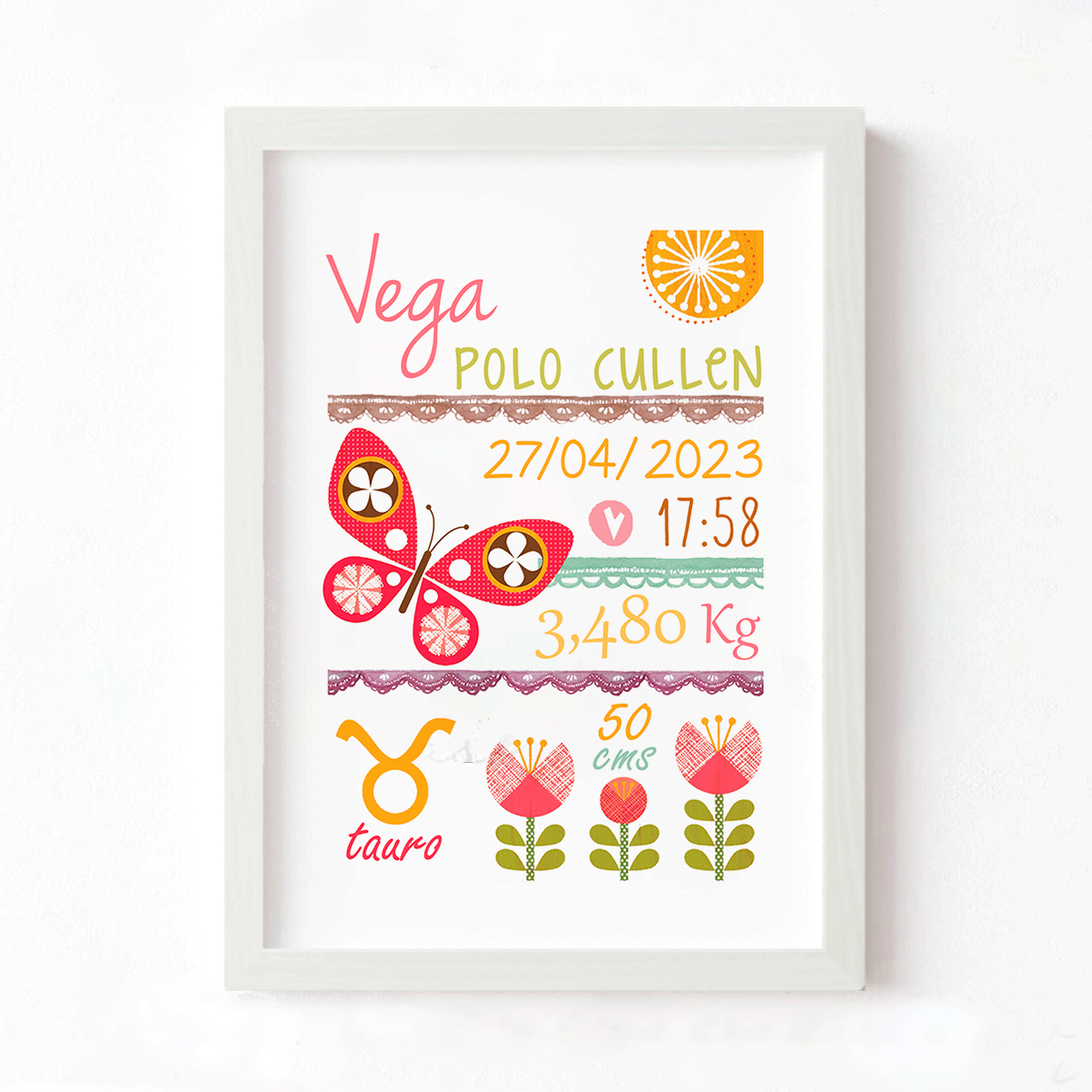 Cuadro Nacimiento Mariposa 1