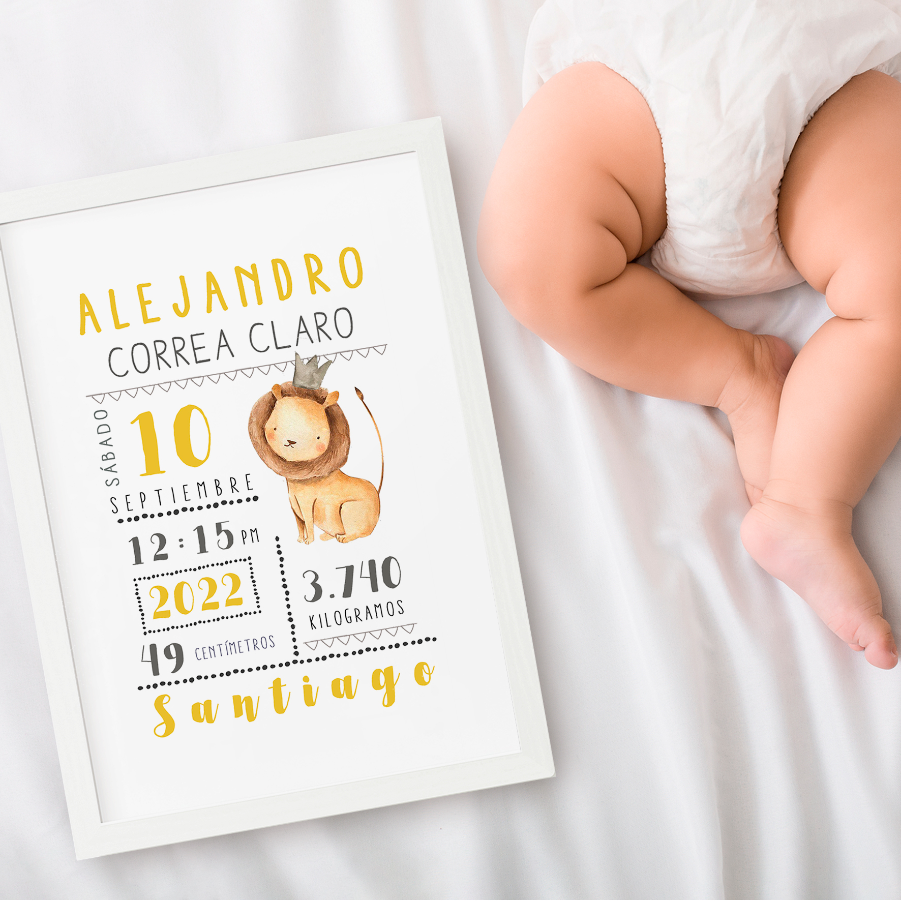 Cuadro Nacimiento León 3