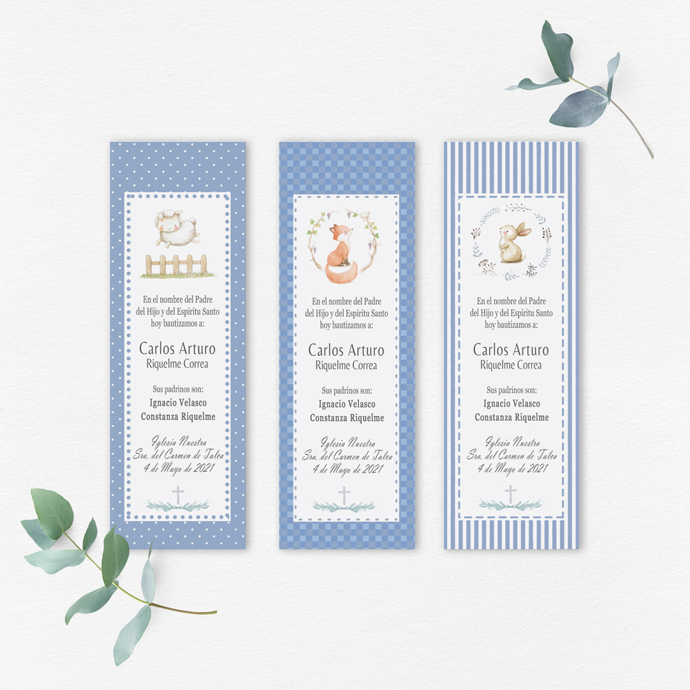 Santitos Bautizo animales celestes 1