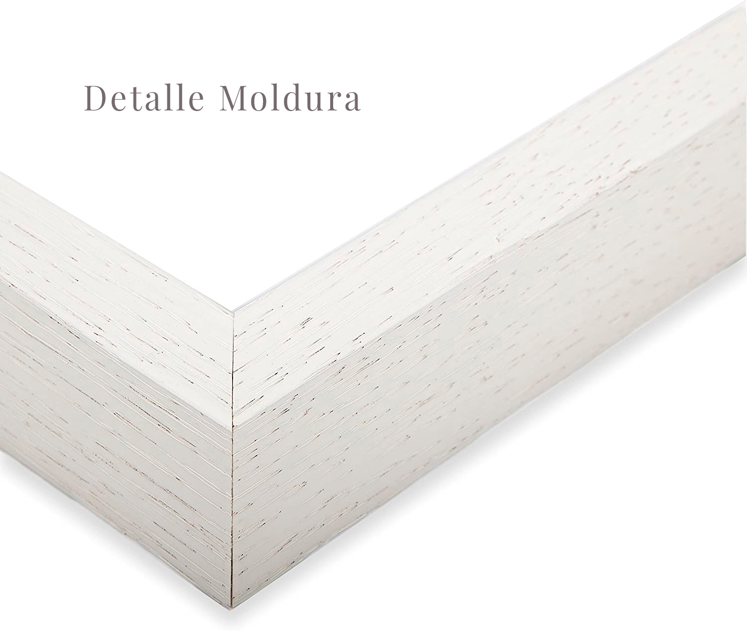 Cuadros botánicos infantiles celestes 6