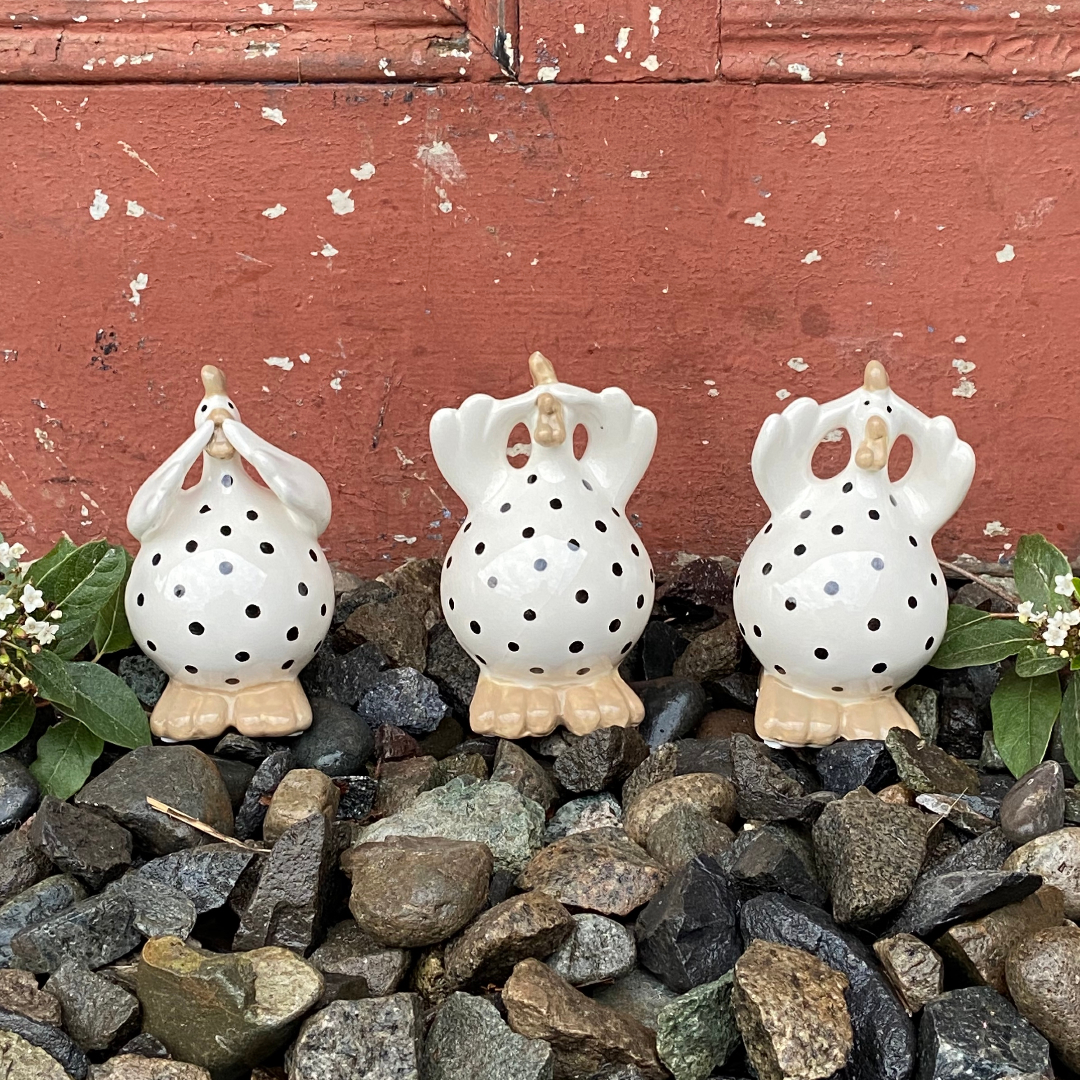 Gallinas Sabias