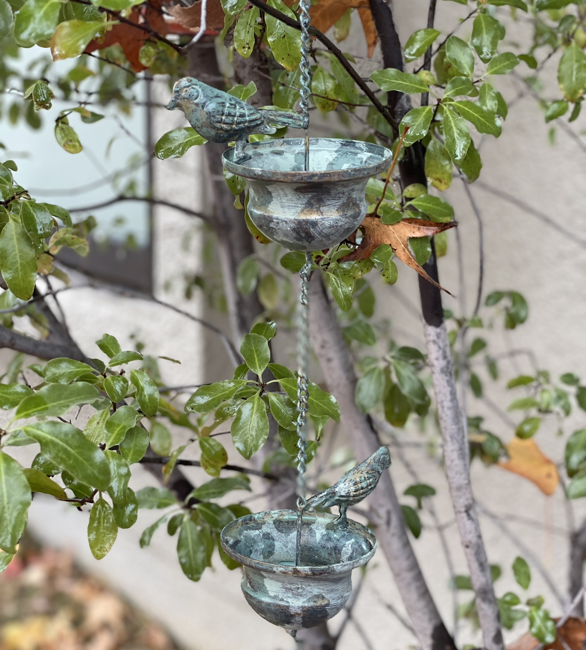 Caída de Agua Pajaritos