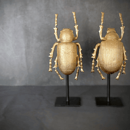 Par de escarabajos