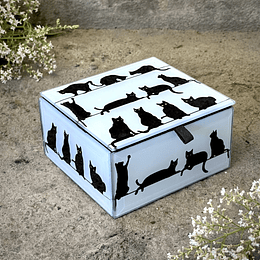 Caja vidrio gatitos 