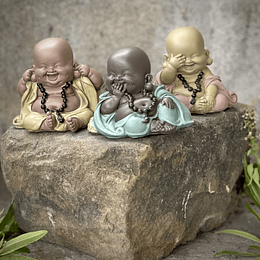 Buditas Sabios 