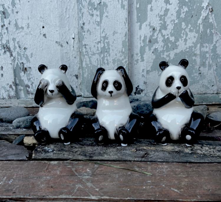 PANDAS SABIOS
