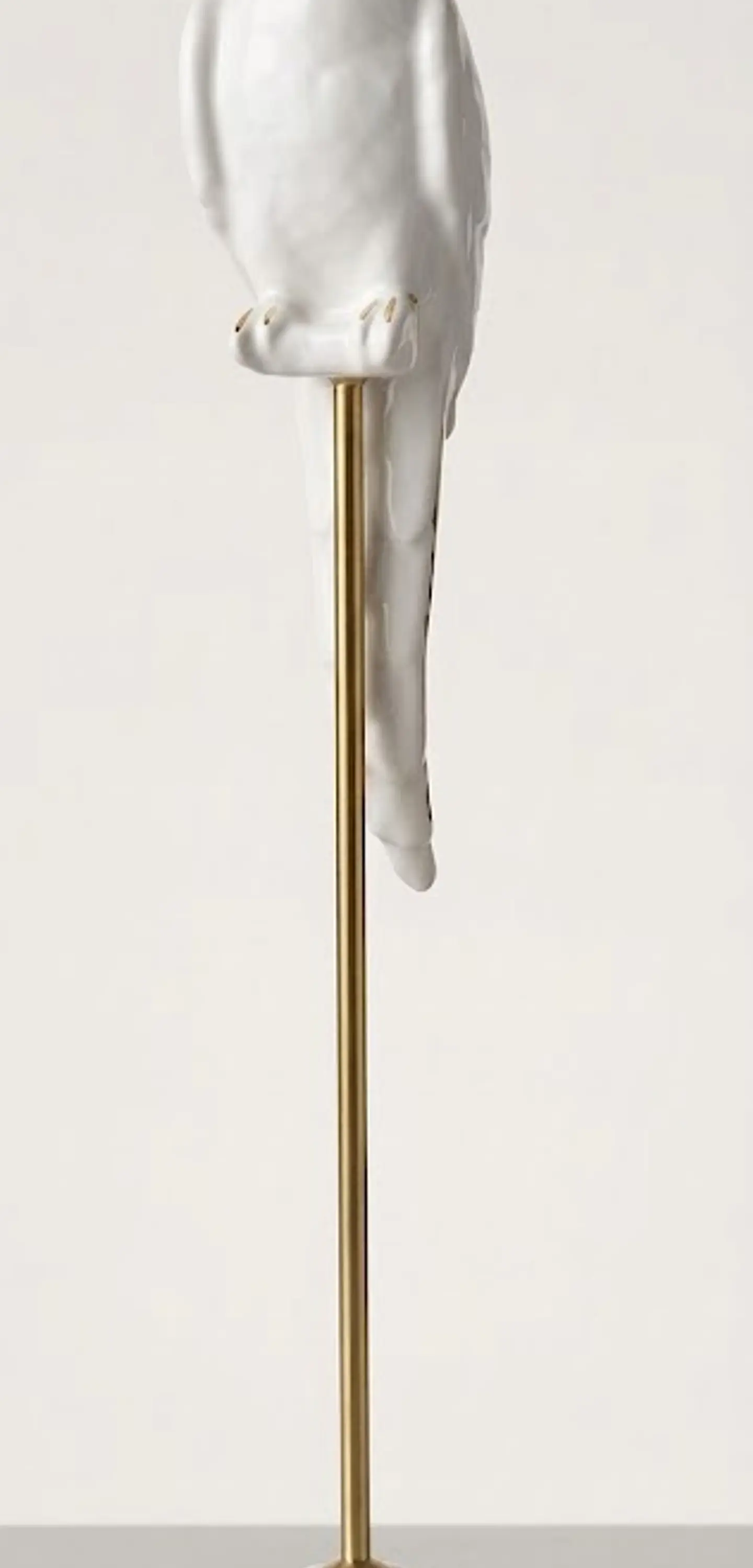 Papagaio Branco com Poleiro Dourado - 54cm 2