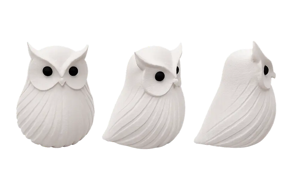🦉 Coruja Felpuda Decorativa em Impressão 3D – Personalizada ao Seu Gosto 3