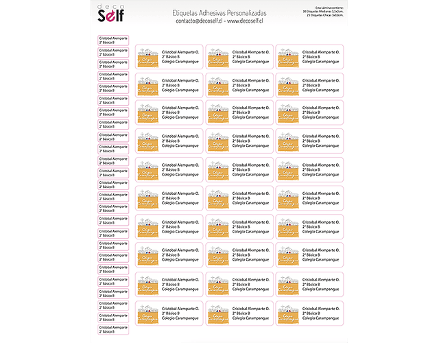 Etiquetas Adhesivas Colegio Carampangue