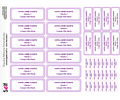 Etiquetas Adhesivas SIMPLE LILA