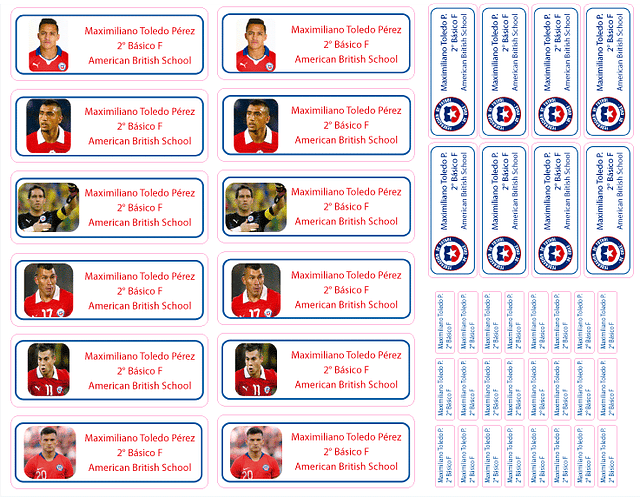 Etiquetas Adhesivas Selección Chilena