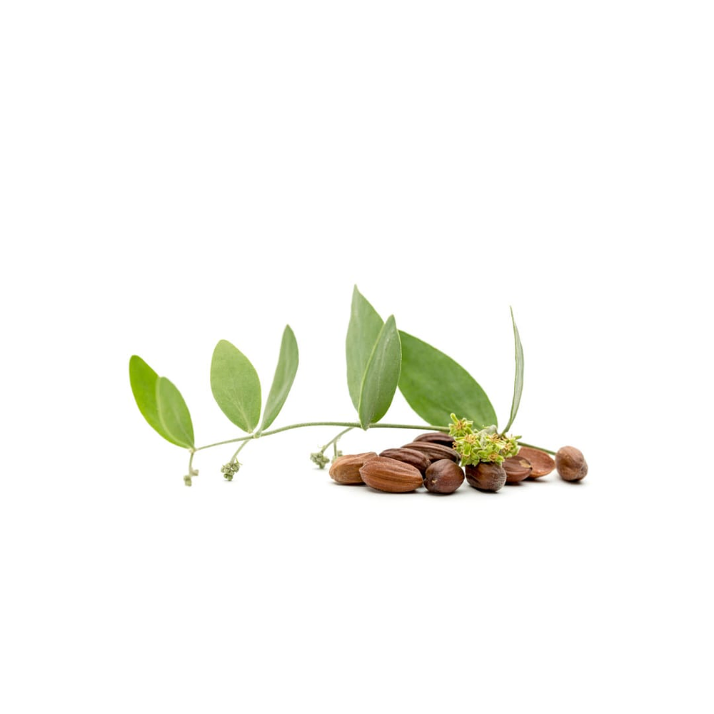 Aceite de Jojoba