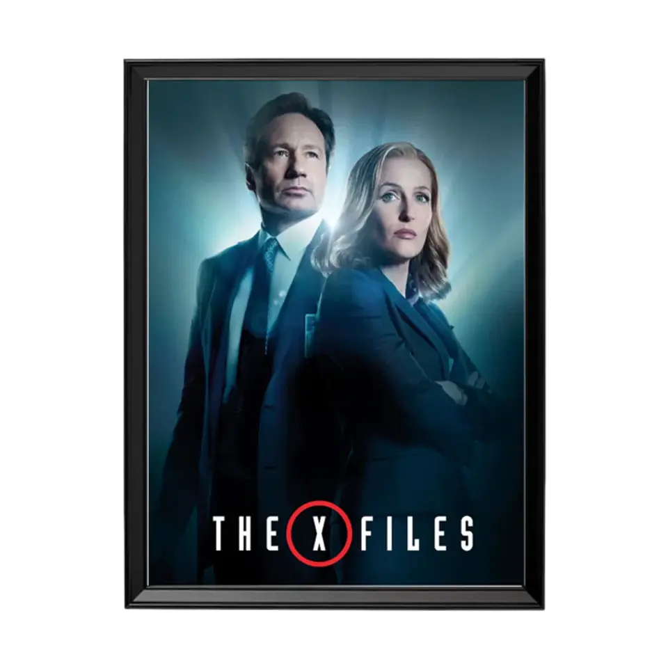 Cuadro The X File (Los Archivos Secretos X) 1