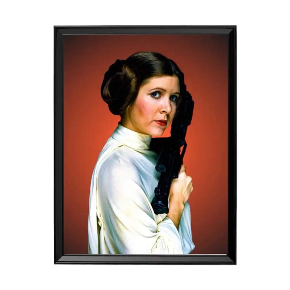 Cuadro Star Wars / Princesa Leia 1