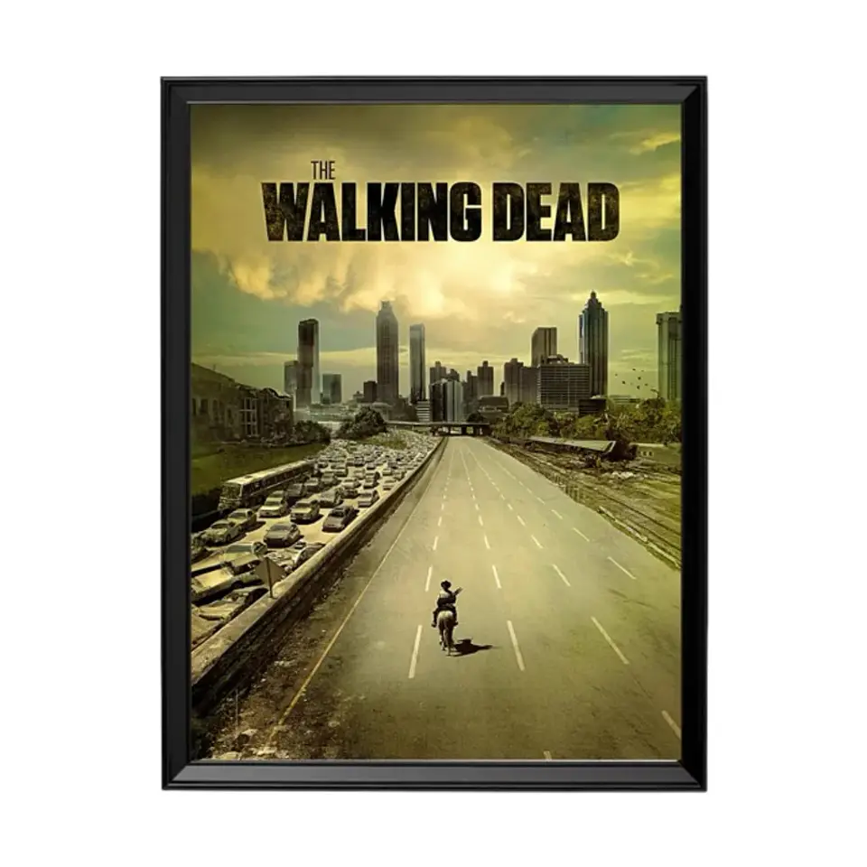 Cuadro The Walking Dead 1