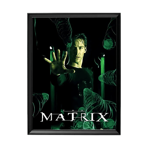 The Matrix (Neo)