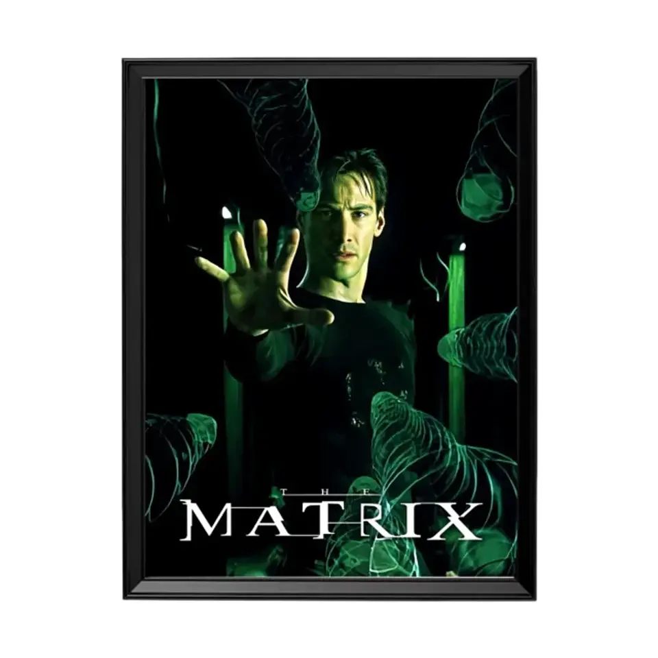 Cuadro The Matrix (Neo) 1