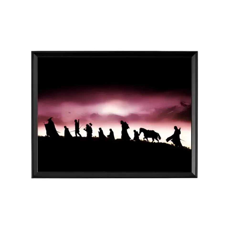 Cuadro El Señor De Los Anillos 1