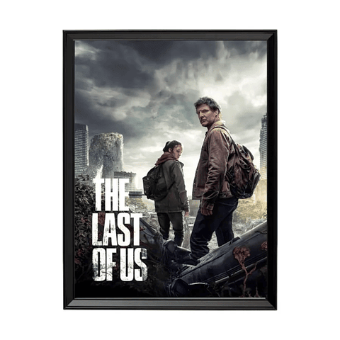 The Last Of Us